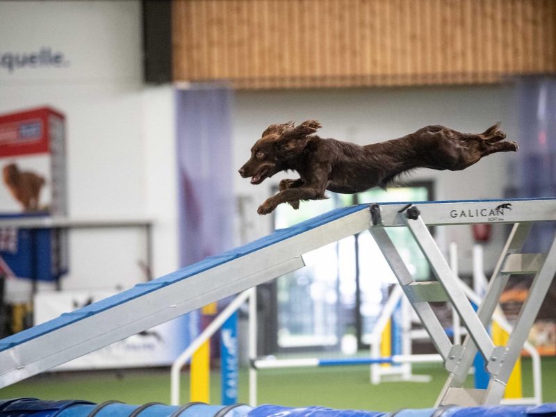 cabeceras.psd_0002_IMG_2650-min