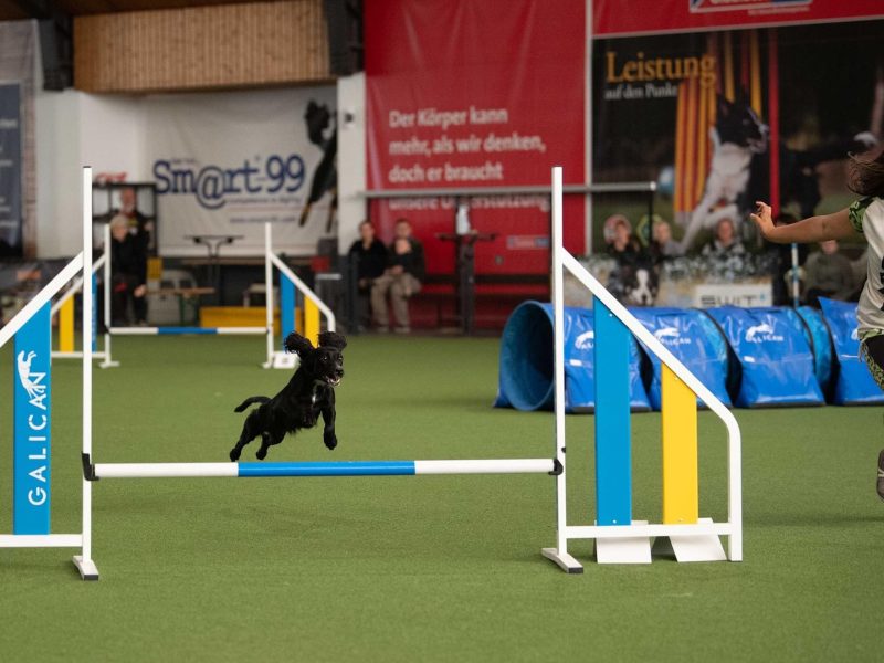 cabeceras.psd_0003_IMG_2640-min