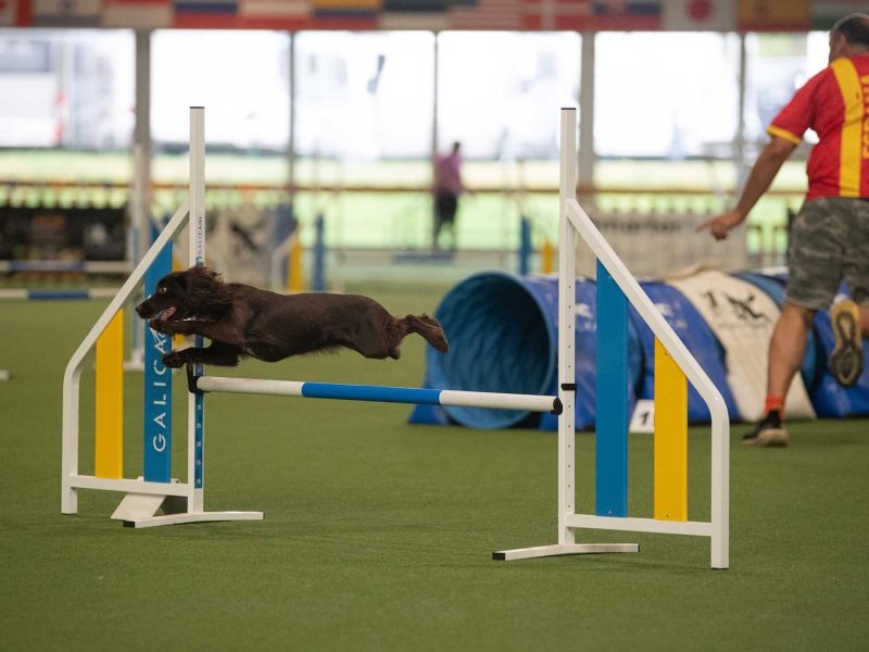 cabeceras.psd_0004_IMG_2639-min