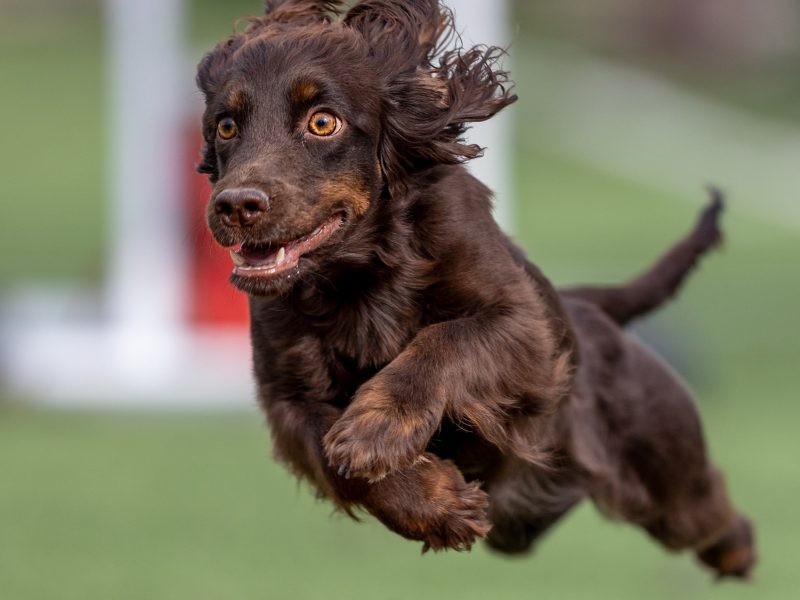 cabeceras.psd_0006_IMG_0085-min