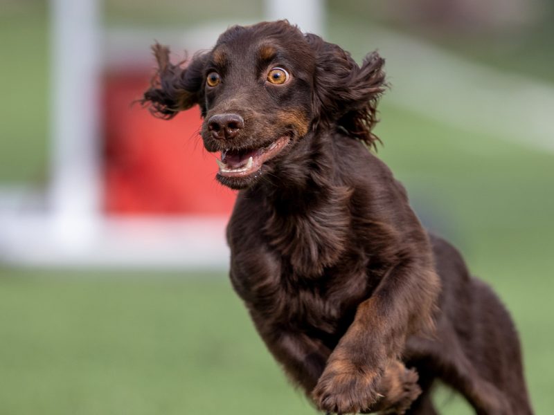 cabeceras.psd_0007_IMG_0084-min