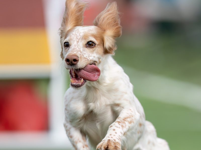 cabeceras.psd_0008_IMG_0083-min