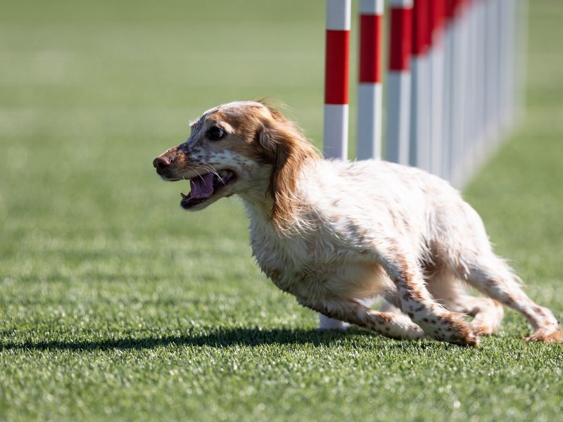 cabeceras.psd_0009_IMG_0079-min