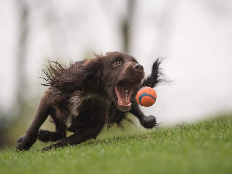 cabeceras.psd_0011_FB_IMG_1513598085228-min