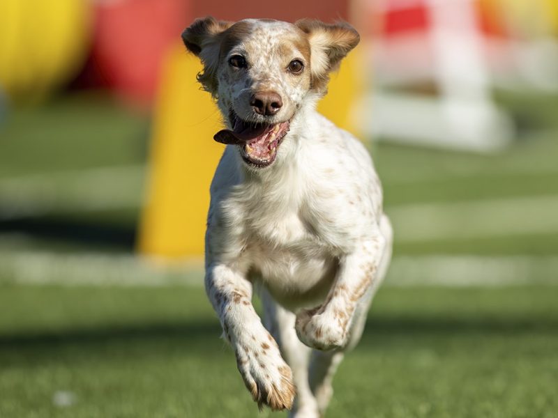 galeria_inicio02-min